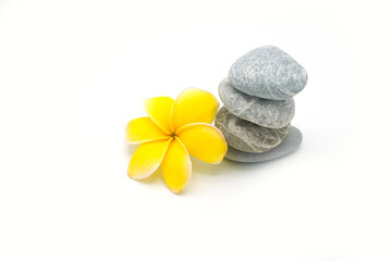 Fototapeta na wymiar Yellow blooming plumeria next to stacked little stone on white background.