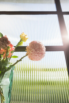 Colourful spring floral abstract concept of hope and a bright future
