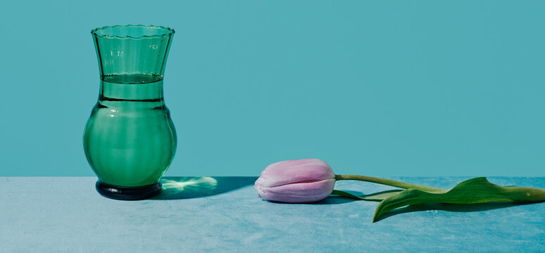greenish blue glass vase and violet tulip
