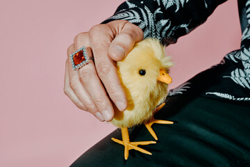 man petting a yellow teddy chick