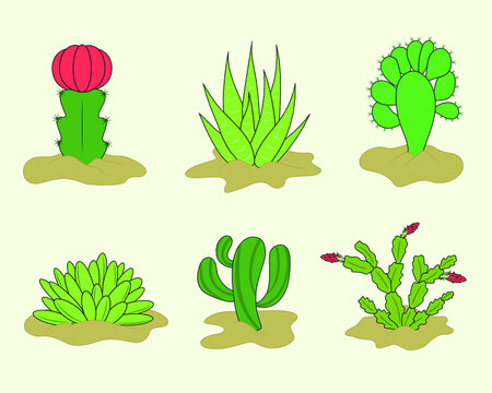 set of cactus, cacti,  succulents