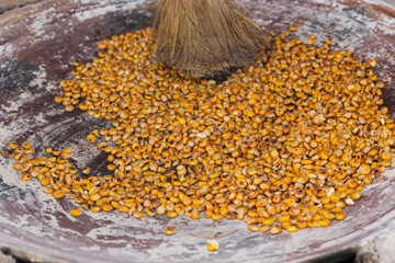 Closeup of  yellow grains of corn on a comal moved by a brush