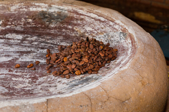 Wet cocoa beans on a clay comal