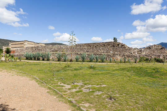 Agaves in the background next to the archaeological ruins of Mitla