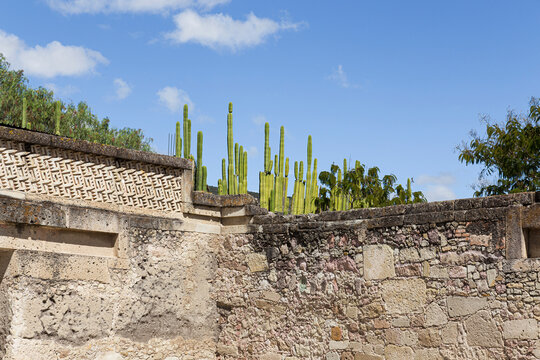 A wall of the archaeological zone of Mitla with cardones 