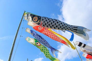 晴天の鯉のぼり