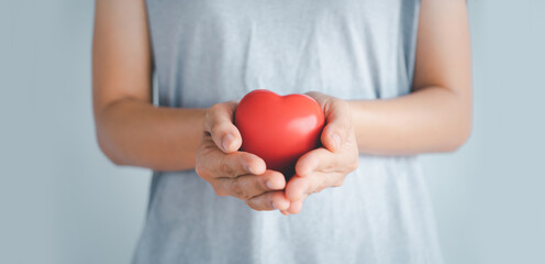 Woman hands holding a red heart, heart health insurance, health care.