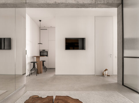 Contemporary interior of hall with kitchen zone