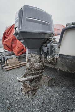 Barnacle outboard engine.