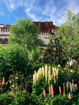 Tibet Potala Palace