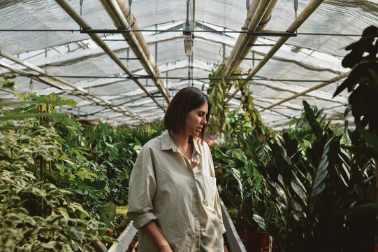 Beautiful Woman In Greenhouse Conservatory Full Of Different Plants