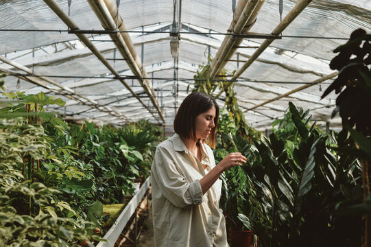 Beautiful Woman In Greenhouse Conservatory 