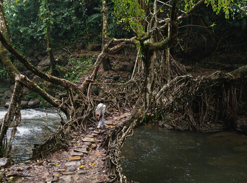 A local man crosses a tree root bridge in India's Meghalaya region