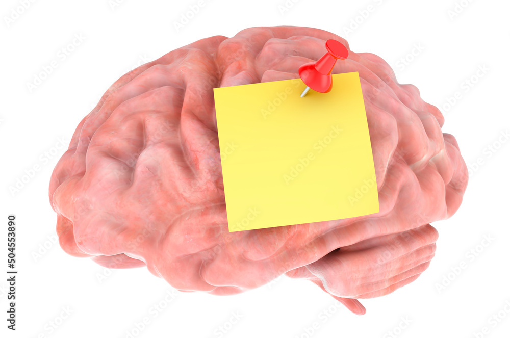 Poster brain with push pin and blank sticky note, 3d rendering