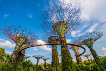 Garden By The Bay in Singapore