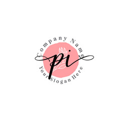 PI signature logo template vector