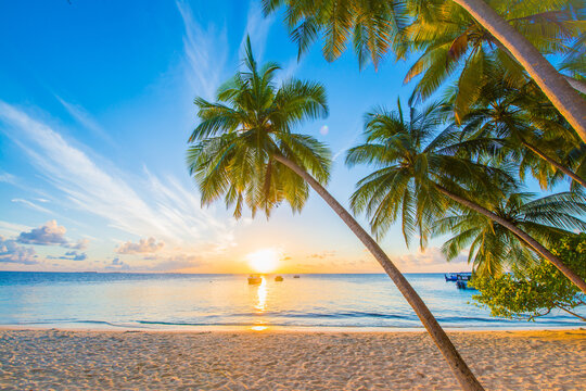 Maldives Beach
