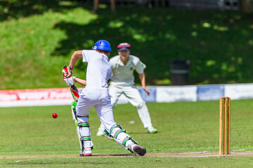 Cricket Batsman Batting Plays Ball With Fielder Alert Action Game .