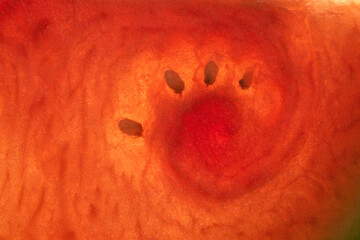 Watermelon patterns 100 closeup tissue seeds interior 