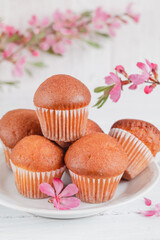 Many fresh vanilla muffins with pink almond flowers on a white plate. Sweet breakfast.