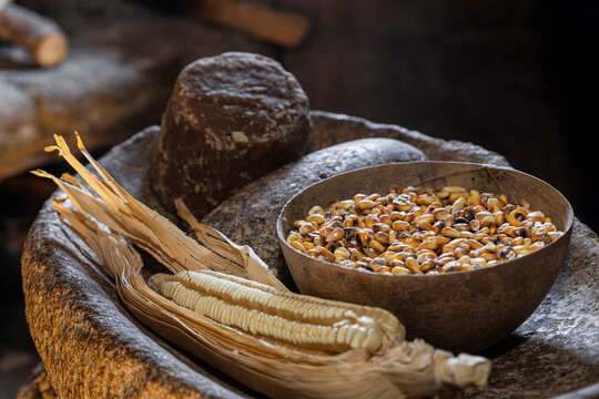 Corn with its leaf and a j&iacute;cara with grains / kernels of corn inside 