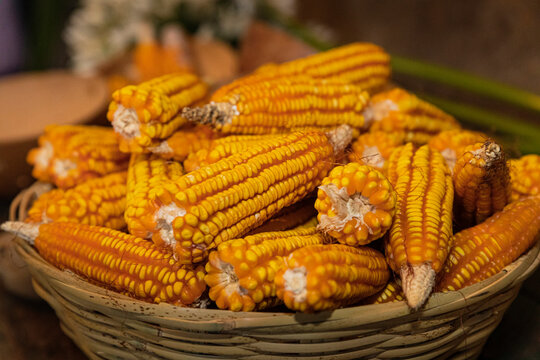 Yellow corn cobs in a basket with a blurred background