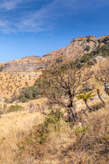 Fototapeta na wymiar Royal Natal National Park, Dragensberg mountains, South Africa. 