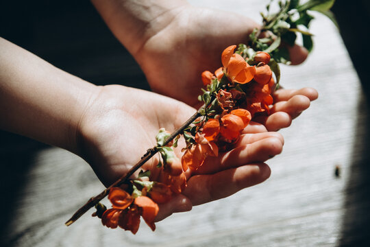 flower for mom
