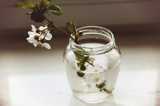breath of spring
