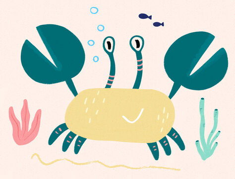 Crab summer ocean illustration