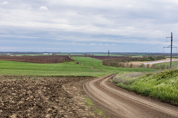 Fototapeta na wymiar A dirt road in the middle of a green field. Spring landscape.