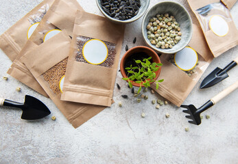 Fototapeta na wymiar Microgreen seeds in paper bags and equipment for sowing microgreens.