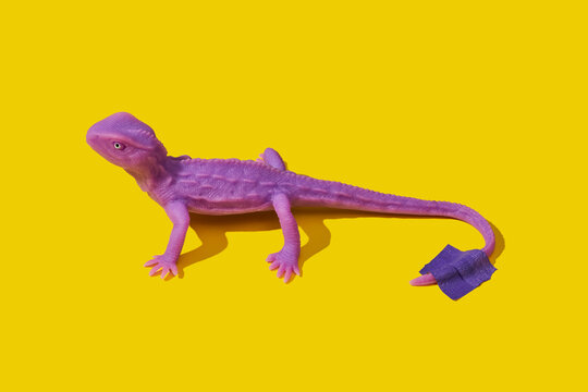 purple rubber lizard stuck with a piece of tape