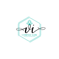 VI signature logo template vector