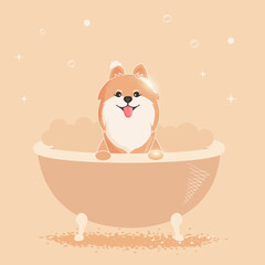 Pomeranian dog. Cheerful pomeranian bathes in the bathroom. Dog illustration for grooming salon.