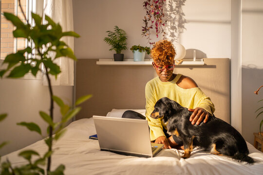 Black Woman Working From Home Next To Her Dog Sitting On The Bed.