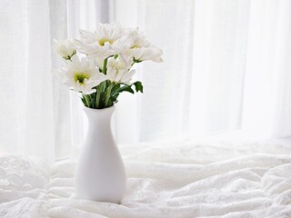 White Chrysanthemum flower in vase on embroidered cloth lace, window soft light background...