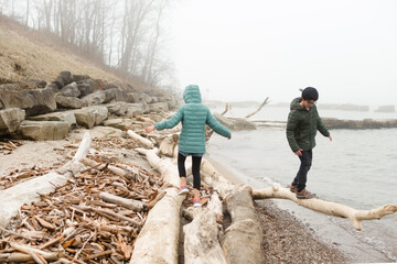 kids balance on washed up tree branches along beach