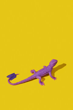 stuck purple rubber lizard