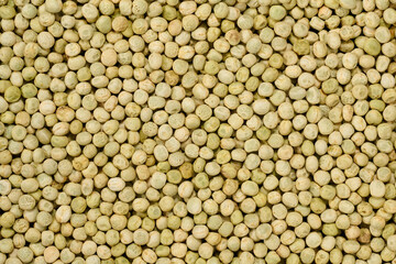 「青えんどう」という日本の北海道産の豆です。