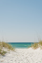 Fototapeta premium Beach, Ocean and Blue Sky Copy Space