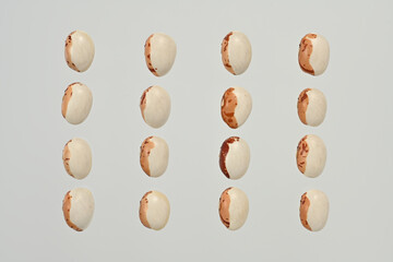 「虎豆」という日本の北海道産の豆です。