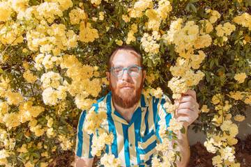 Man in yellow flower bush