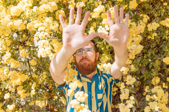 Man in flower bush