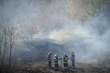 Naklejka premium Wildfire in Vacaresti Natural Park, the largest green space in Bucharest, Romania
