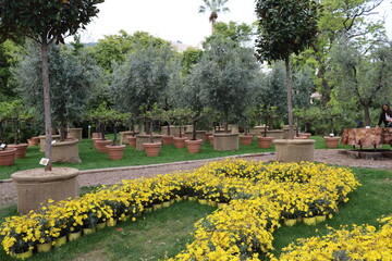 Genova, Itay - May 03, 2022: Euroflora is an exhibition of the flower and the ornamental plant is one of the main floral exhibitions taking place in the Nervi parks of Genova.