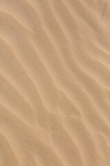 Fototapeta premium Cury lines