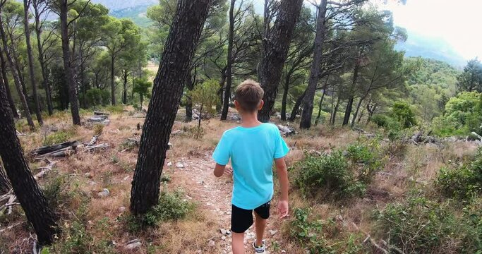 Adorable young boy in t-shirt and shorts walking along path in pine forest at summertime. Back view. Concept of healthy and active lifestyle