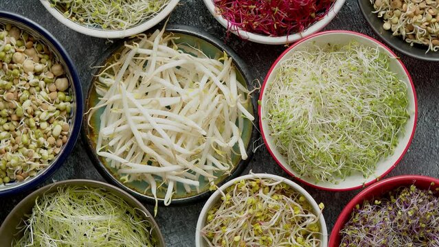 Top view of various kinds microgreens sprouts in colorful bowls. Shoots of radish, cabbage, garlic
