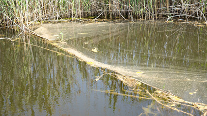 Acu&iacute;fero en Cabanes